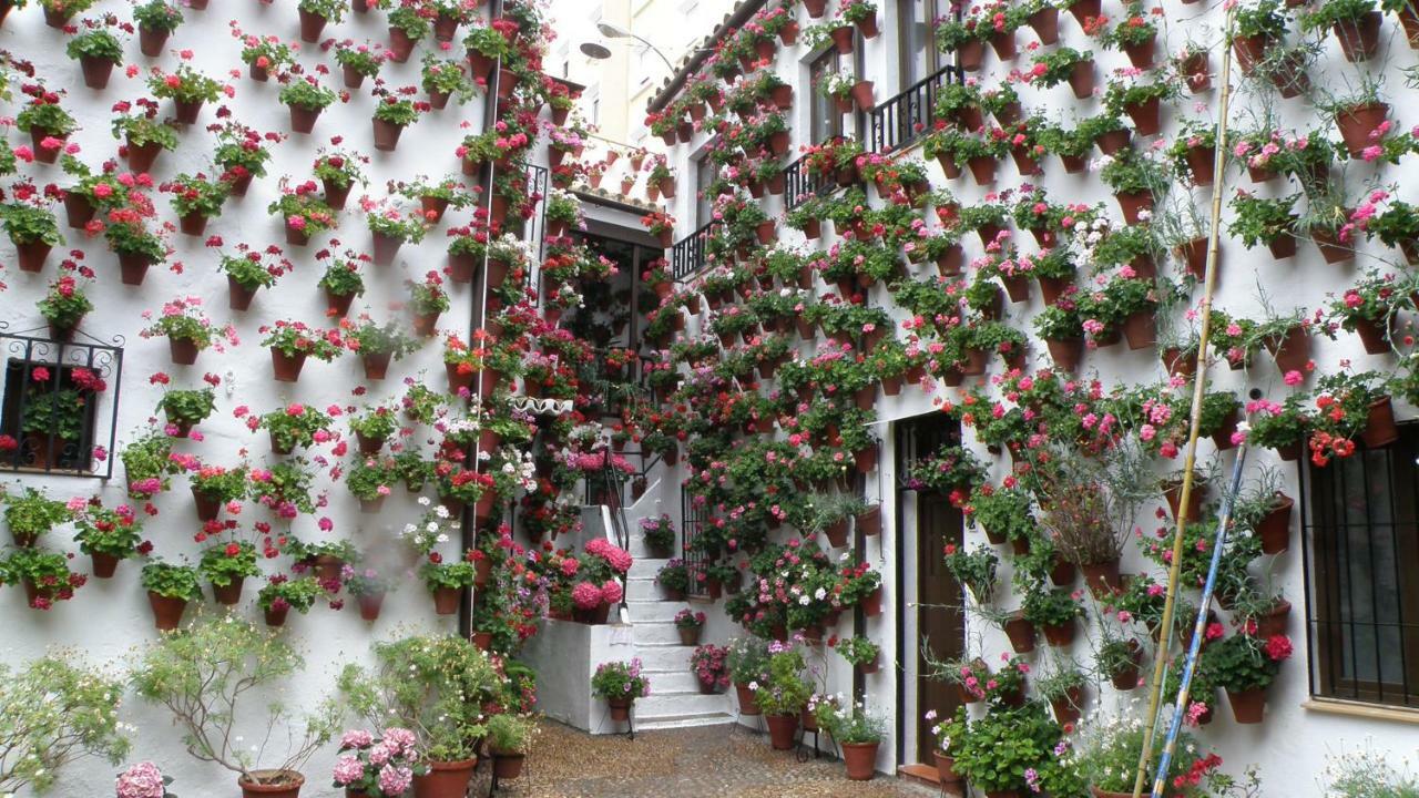 El Balcon De La Mezquita Apartment Cordoba Exterior photo